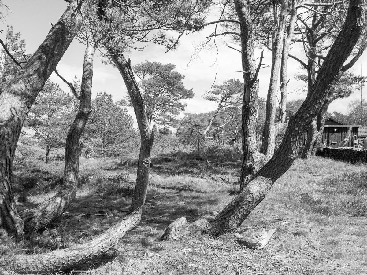 Interview: Martin Brink on Walking, Photography and Making Art During the Pandemic