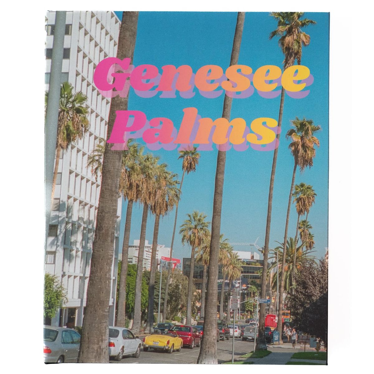 Dispatch: Genesee Palms