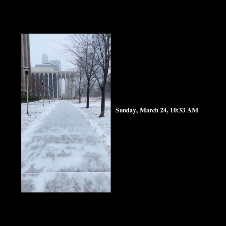 Stills from a Continuous Walk (2024)