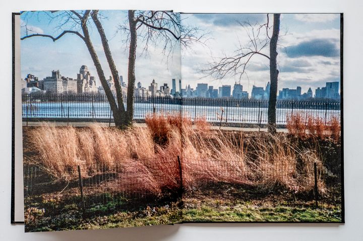 Dispatch from the Archive: The Boulder at Paidge Ave.