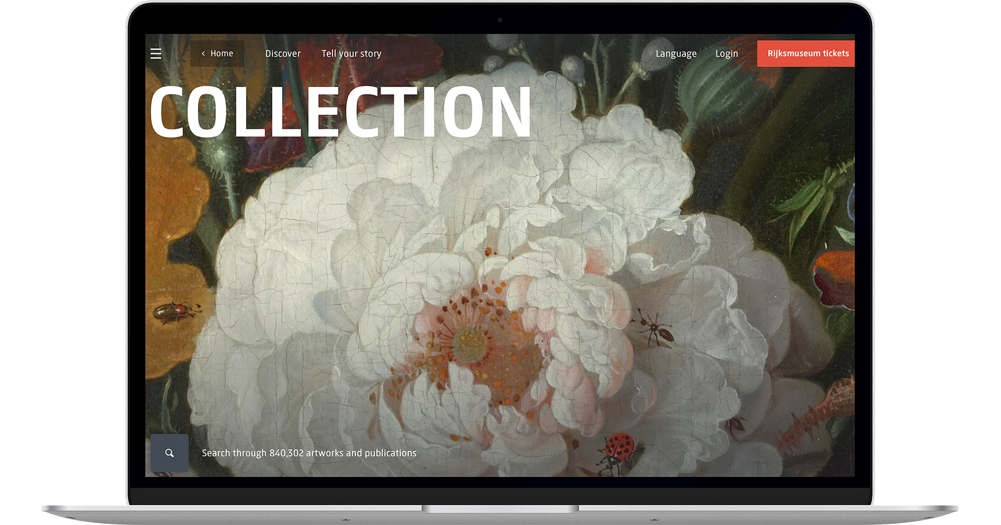 Laptop met de Engelstalige Collectie Online-pagina van het Rijksmuseum, waarop groot het woord 'COLLECTION' en een geschilderde witte bloem te zien zijn.