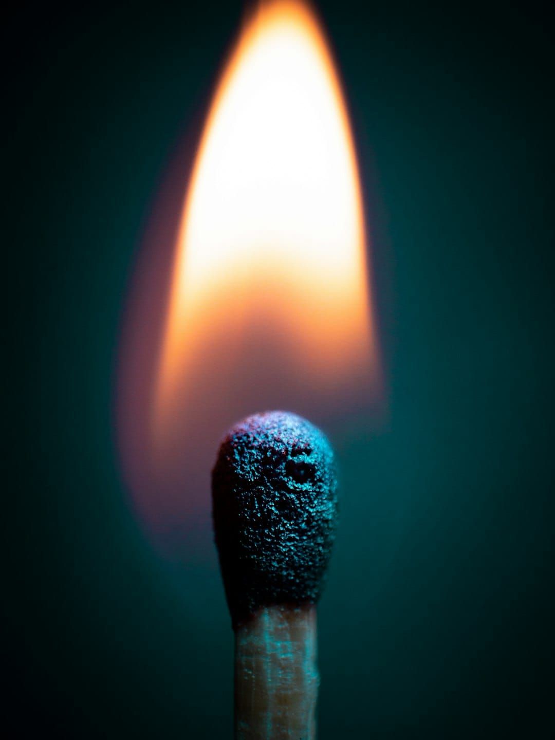 What It Feels Like to Burn a Thousand Dollars