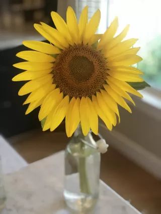 Gratitude: Finding Sweetness in the Bitterness