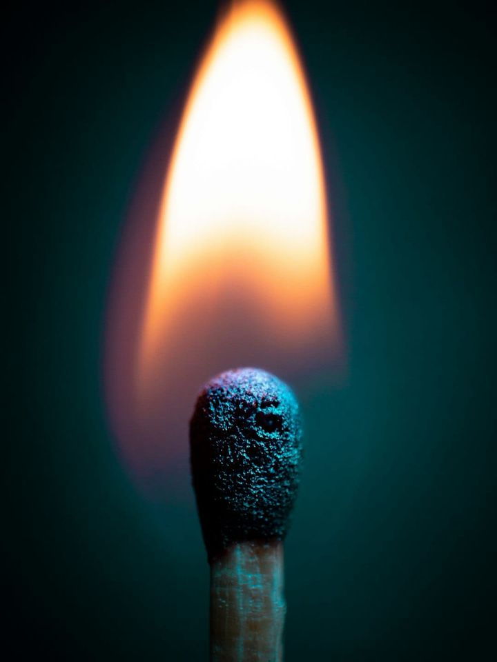What It Feels Like to Burn a Thousand Dollars