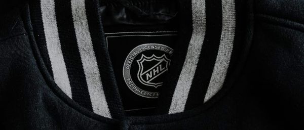 Stanley Cup Playoffs Western  Conference Final Predictions