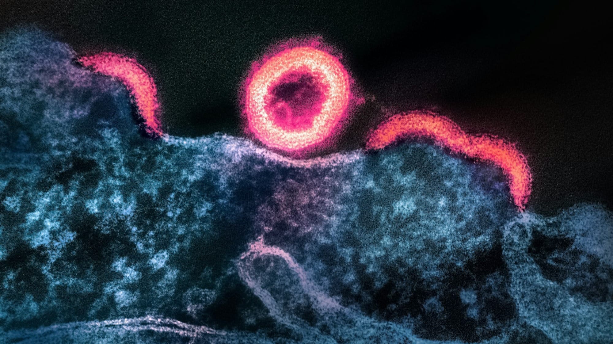 a blurry image of a red object on a black background