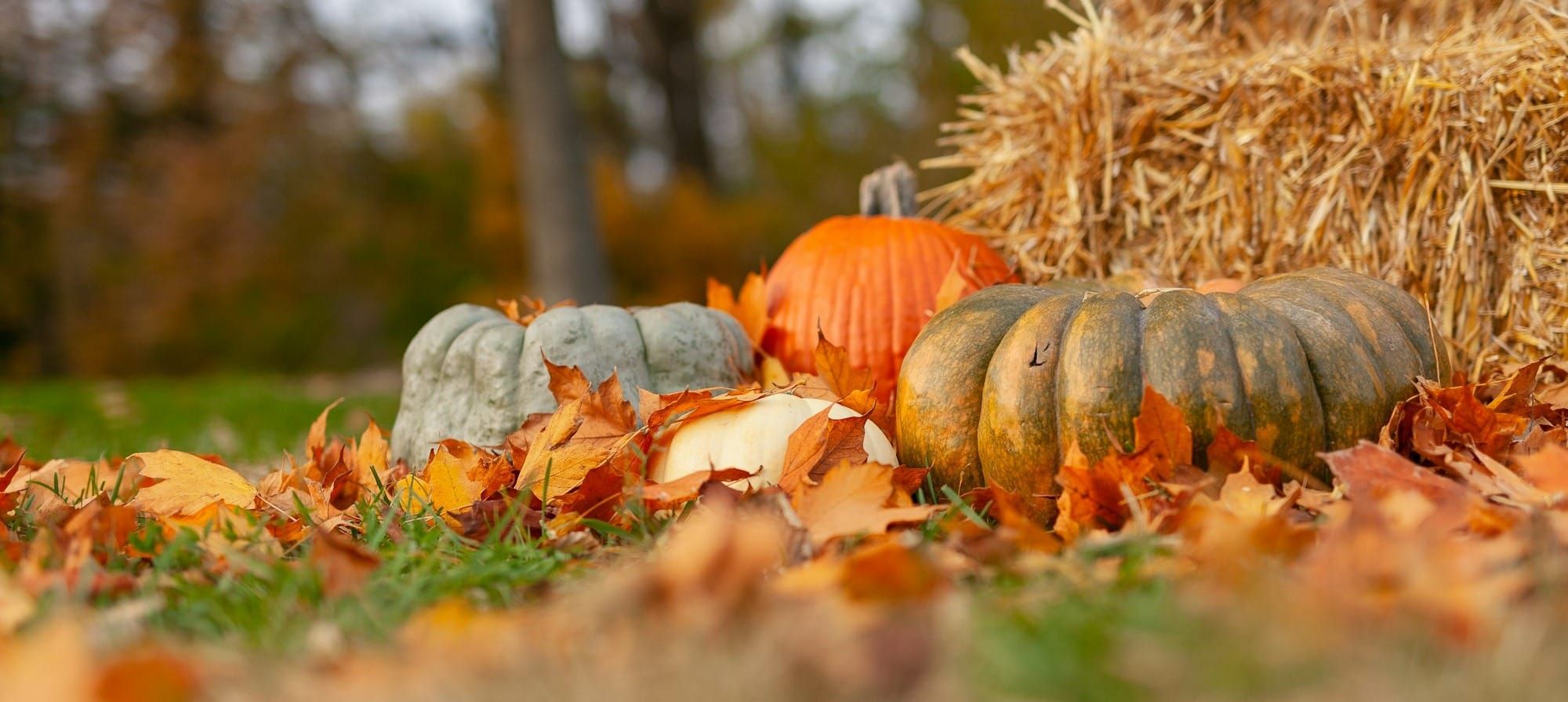 October Recap 2025