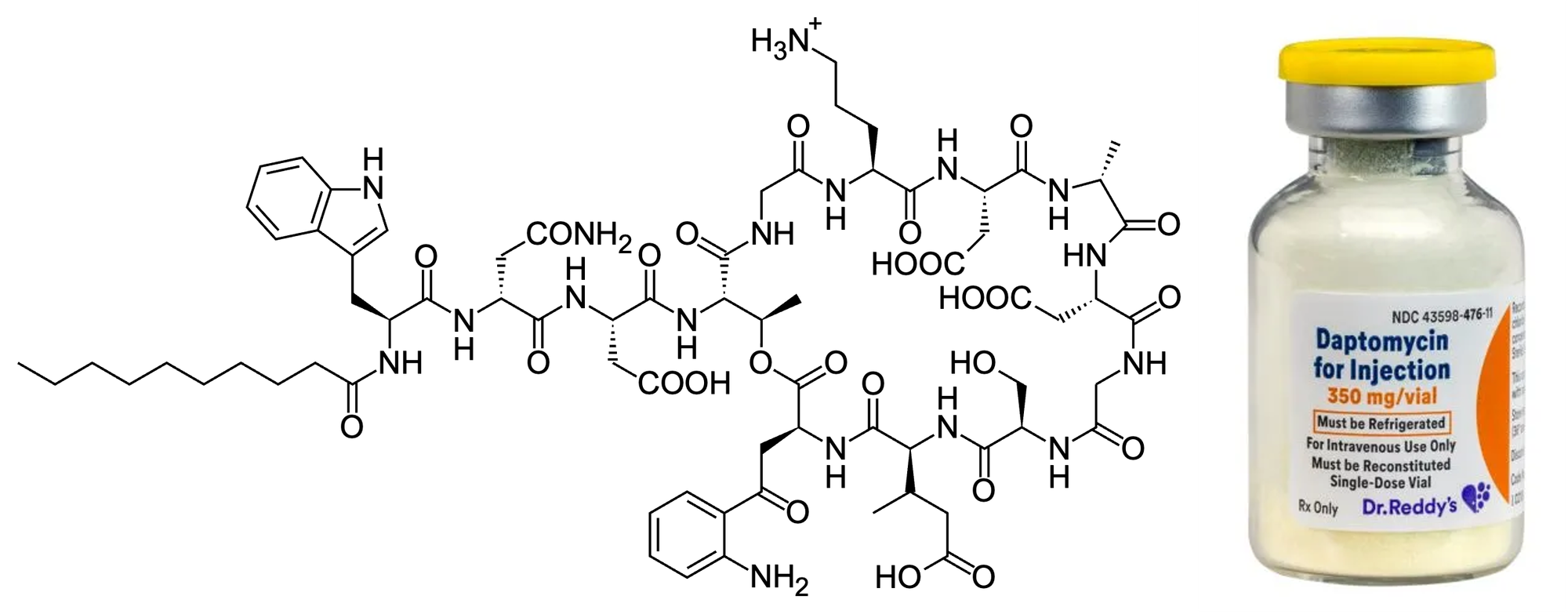 Let's Talk Daptomycin