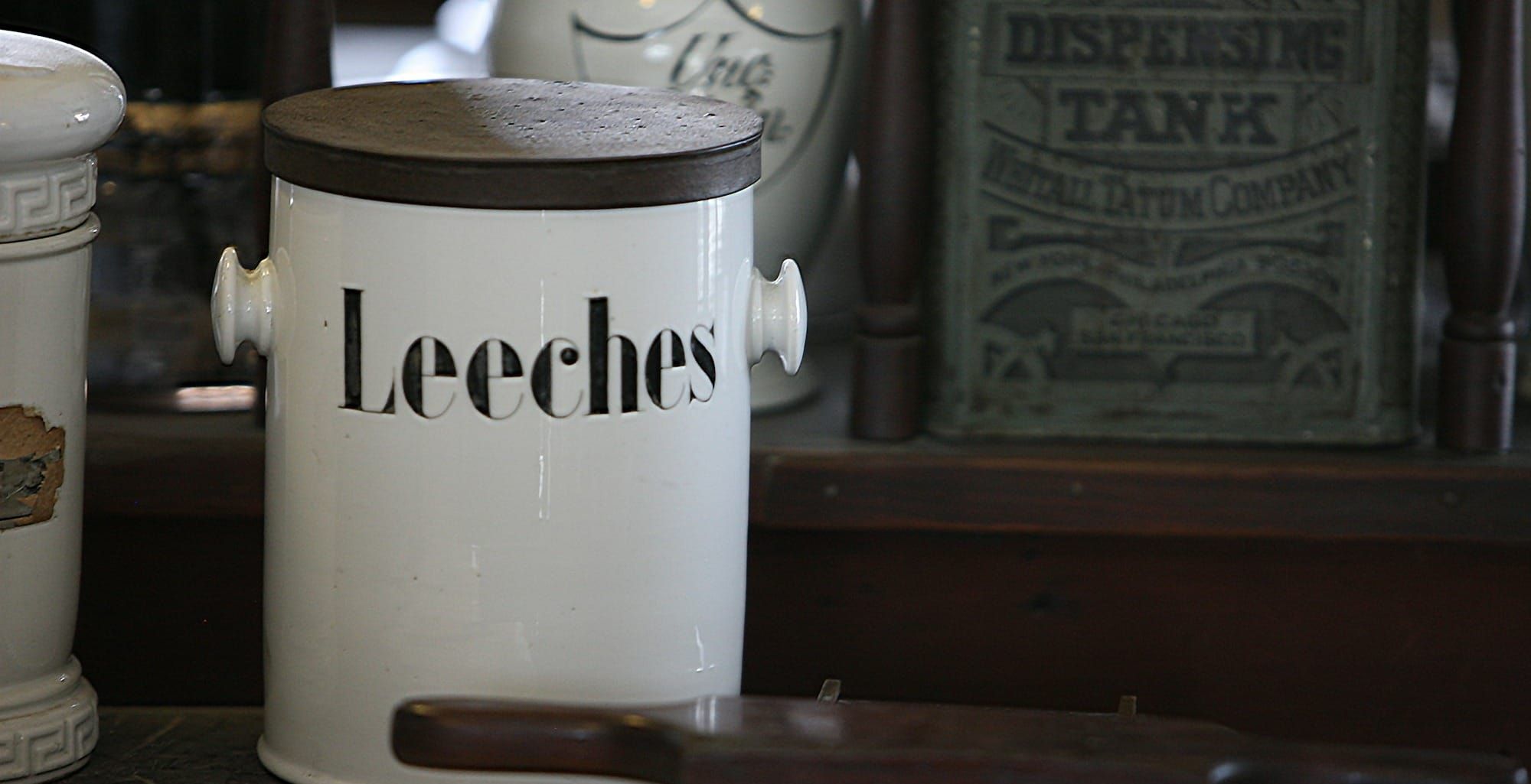 Apothecary’s Apprentice: How Leeches Gave Us Anticoagulants