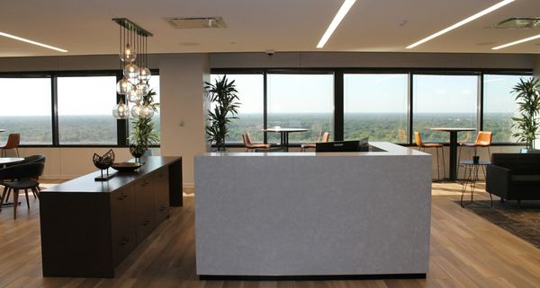 Filing for Bankruptcy in the Pharmaceutical Industry