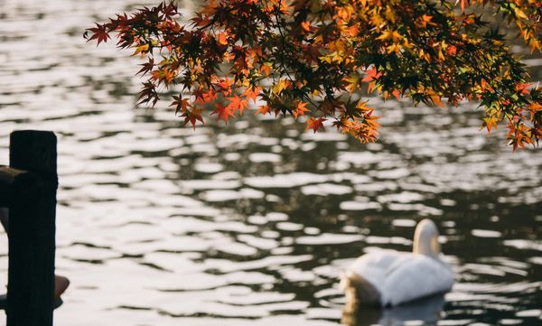 September Recap 2025