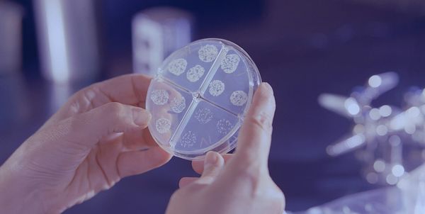 The Pharmacist's Guide to Active Tuberculosis Treatment
