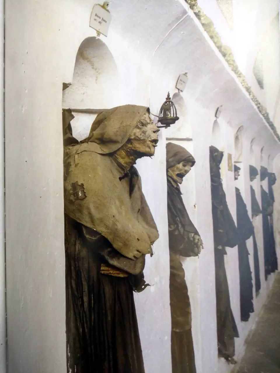 Ecce Mortem