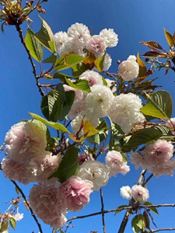 Self Care Spotlight: Nunchi Wellness