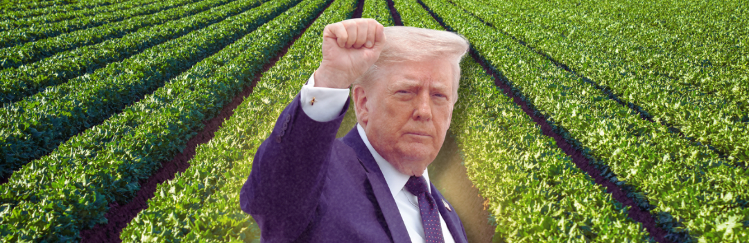 Thousands Sick From Cyclospora. The Company Under Suspicion Gave $2.2 Million to the GOP — After the Administration Delayed the Rule That Would Have Caught It.