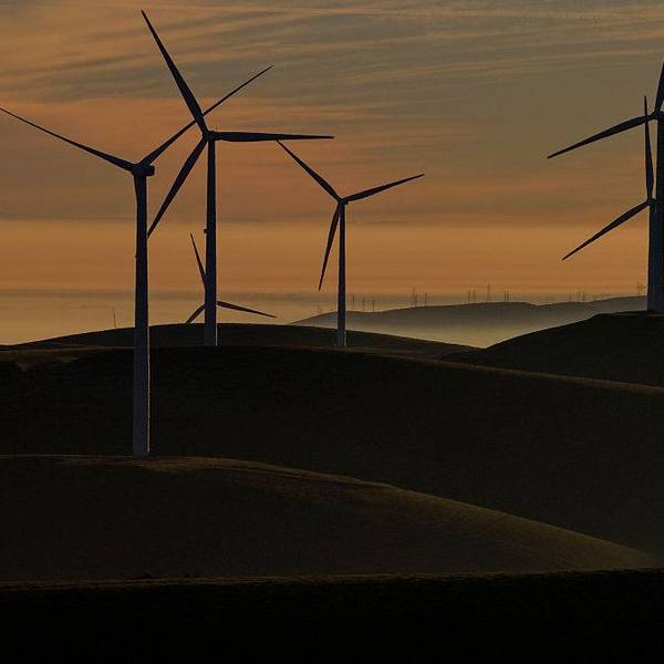 Trump Accused of ‘Mugging’ Americans as War on Clean Energy Set to Cost US Economy $55 Billion a Year