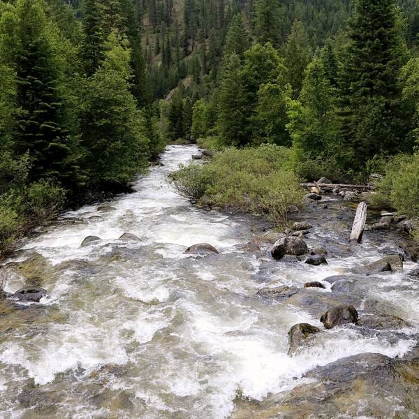 Pristine Boulder Creek in the Clearwater National Forest of northern Idaho