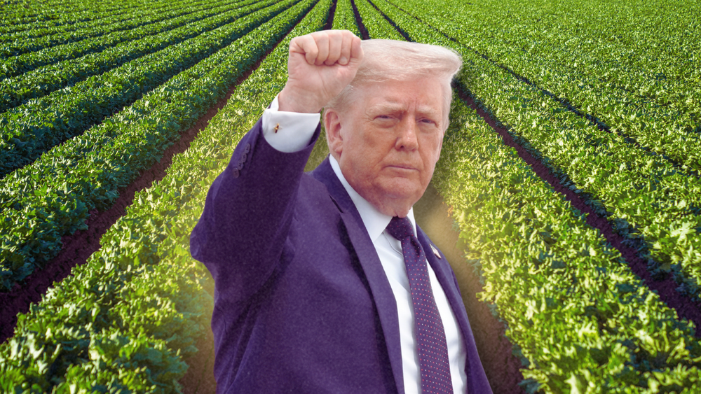 Thousands Sick From Cyclospora. The Company Under Suspicion Gave $2.2 Million to the GOP — After the Administration Delayed the Rule That Would Have Caught It.