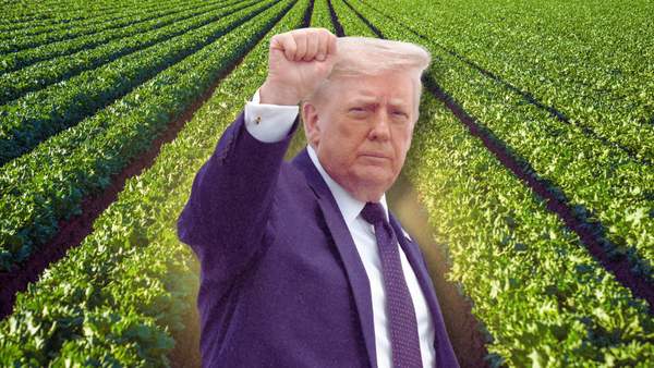 Thousands Sick From Cyclospora. The Company Under Suspicion Gave $2.2 Million to the GOP — After the Administration Delayed the Rule That Would Have Caught It.