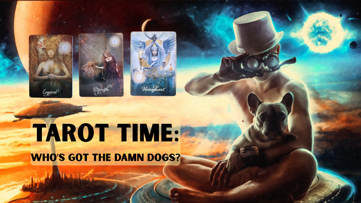 Who's got the damn dogs?