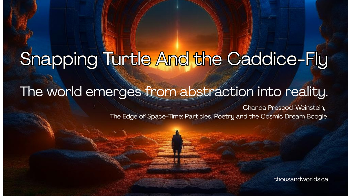 Snapping Turtle And the Caddice-Fly