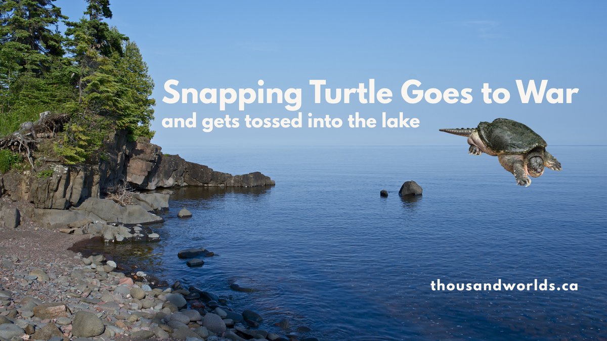 Snapping Turtle Goes to War