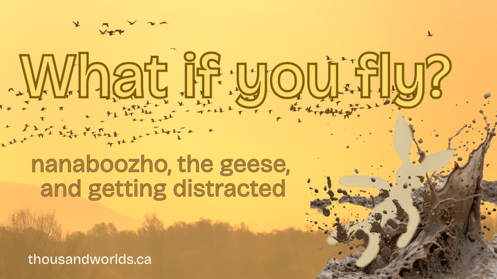 What if you fly? Nanaboozho, the geese, and getting distracted. 