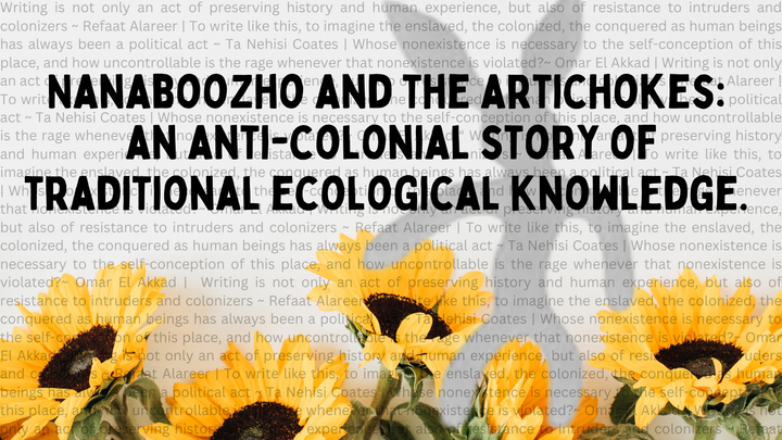 Nanaboozho and the artichokes: an anticolonial story of traditional ecological knowledge. sunflowers along the bottom