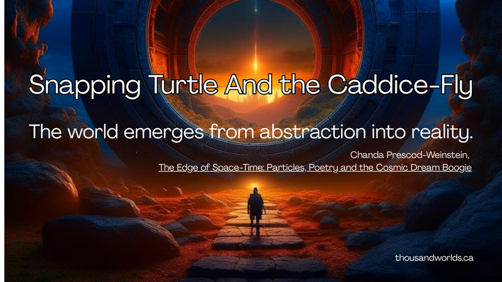 surreal landscape, dark colours with a portal in the centre leading to another world.  Snapping Turtle and the Caddice Fly. 