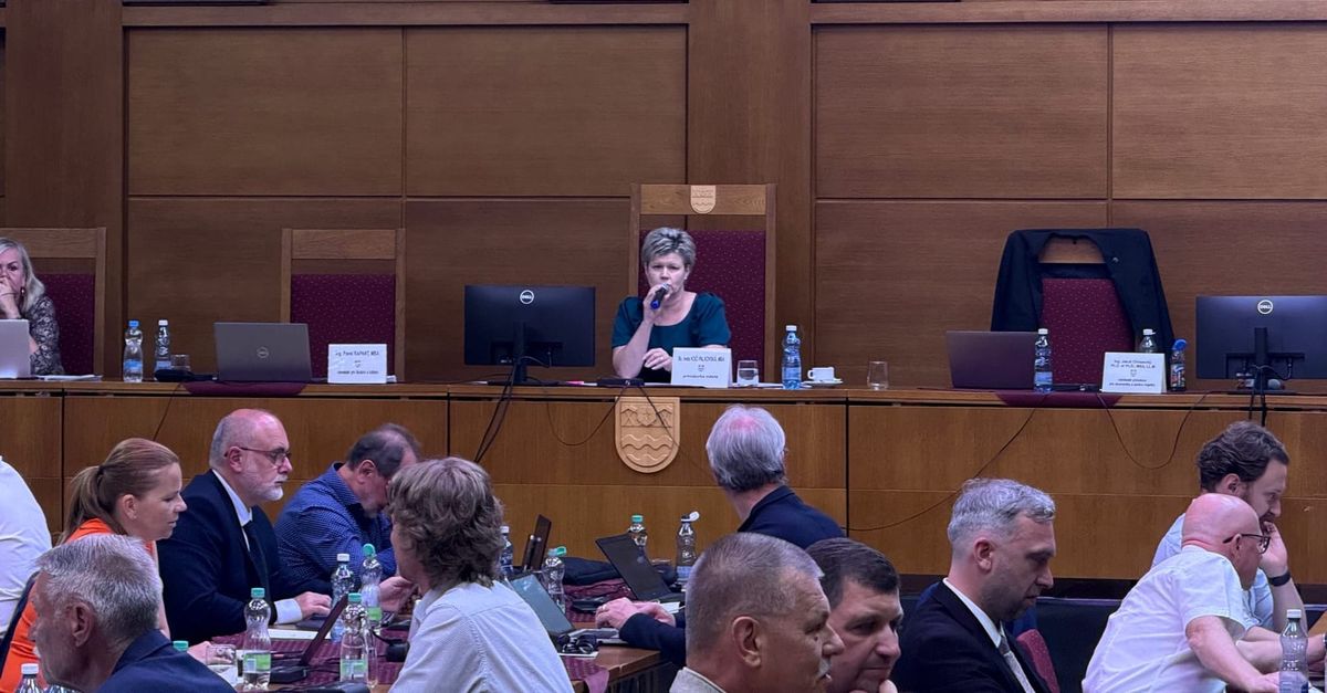 Zastupitelé v Havířově na sebe útočili, Bělica se mezitím loučil na videu
