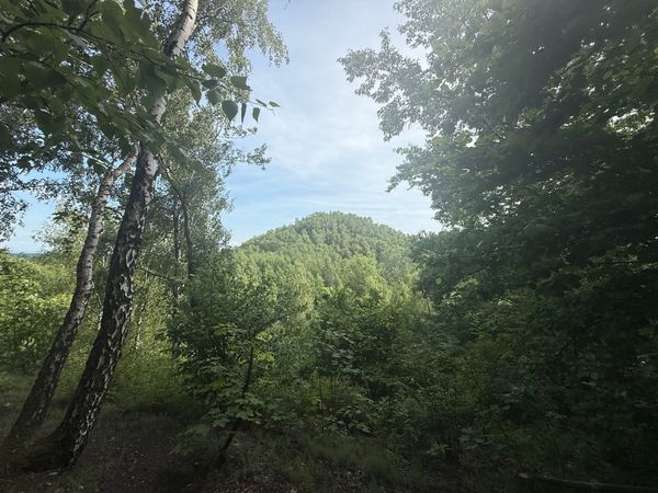 Na Přívozské haldě žije až 180 druhů pavouků. Jsou to unikátní biotopy, říká vědec Pyszko