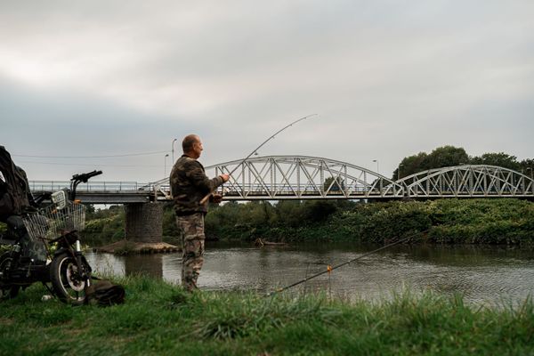 Odra je na hraně. K lepšímu stavu řeky nepomůže ani čistší voda