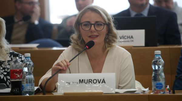 Týden v kraji: likvidace Bedřišky, židle pro poslance a ostravský architektonický manuál