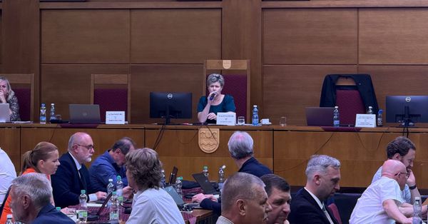Zastupitelé v Havířově na sebe útočili, Bělica se mezitím loučil na videu