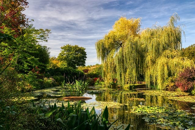 Giverny: Monet's haven