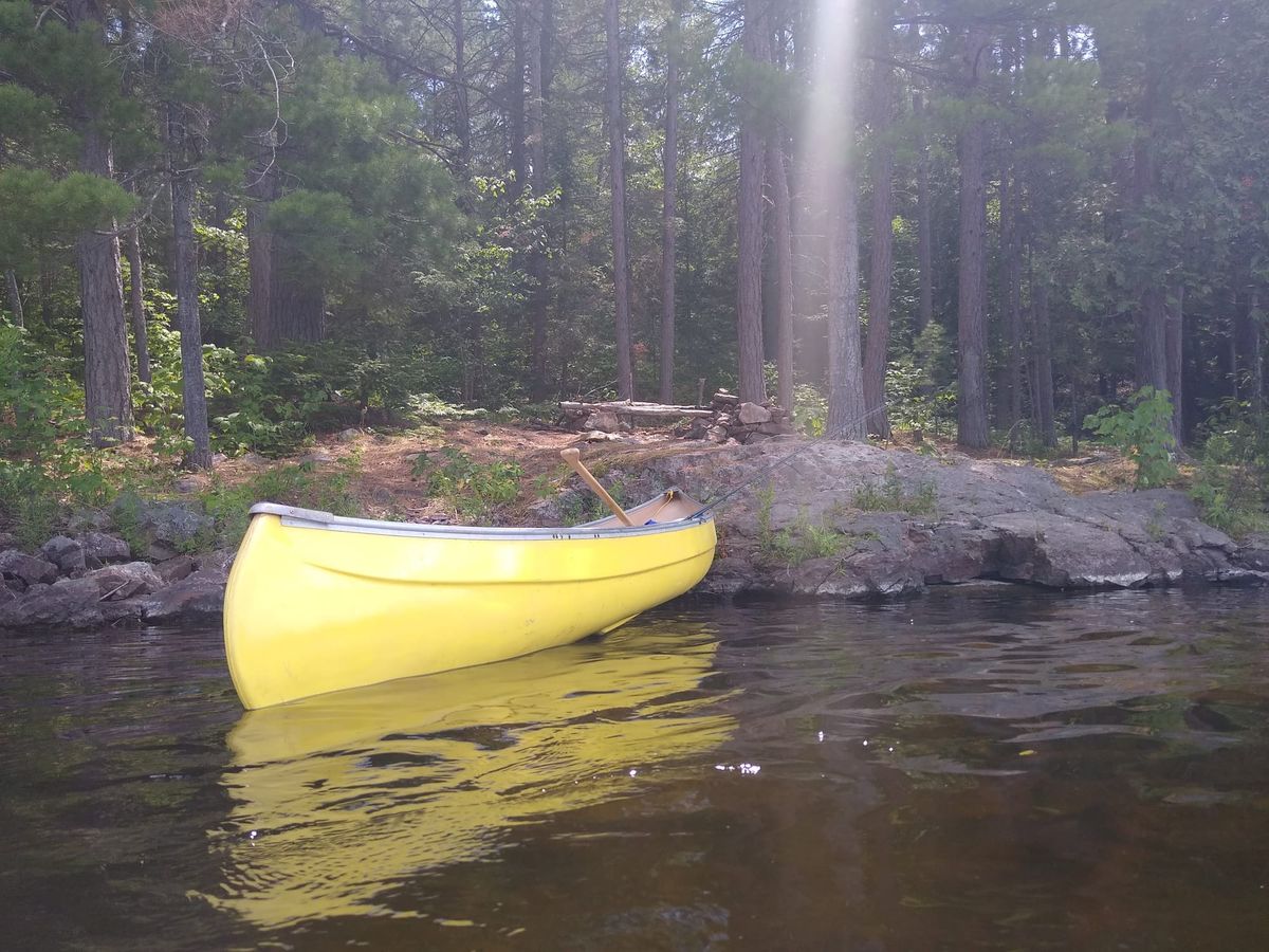 AI Hacking Tools and an Extensional Crisis