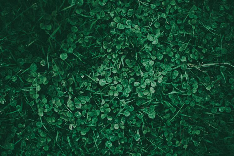 Ghosts S4E16 “St. Hetty’s Day” — One Glance, One Ghost