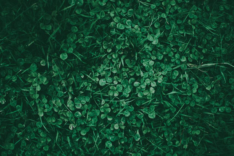 Ghosts S4E16 “St. Hetty’s Day” — One Glance, One Ghost