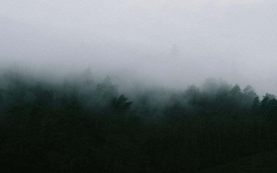 Ghosts S4E11 “Thorapy 2: Abandonment Issues” – A Quiet Easing