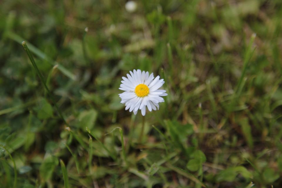 Ghosts S4E12 "It’s the End of the World as We Know It and What Were We Talking About?" — Love in the Shape of Fear