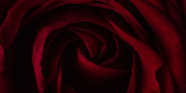 Greatest Fanfiction Ever Sold, 1D’s Puppeteers Played in the Archives, Backhouse Studio