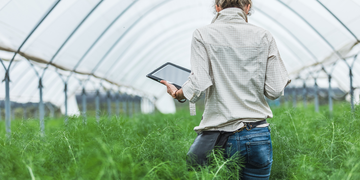 2023 sustainability and circular economy highlights: A year of eco-innovation