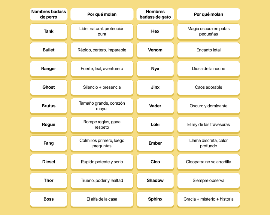 Nombres épicos para mascotas que mandan en casa