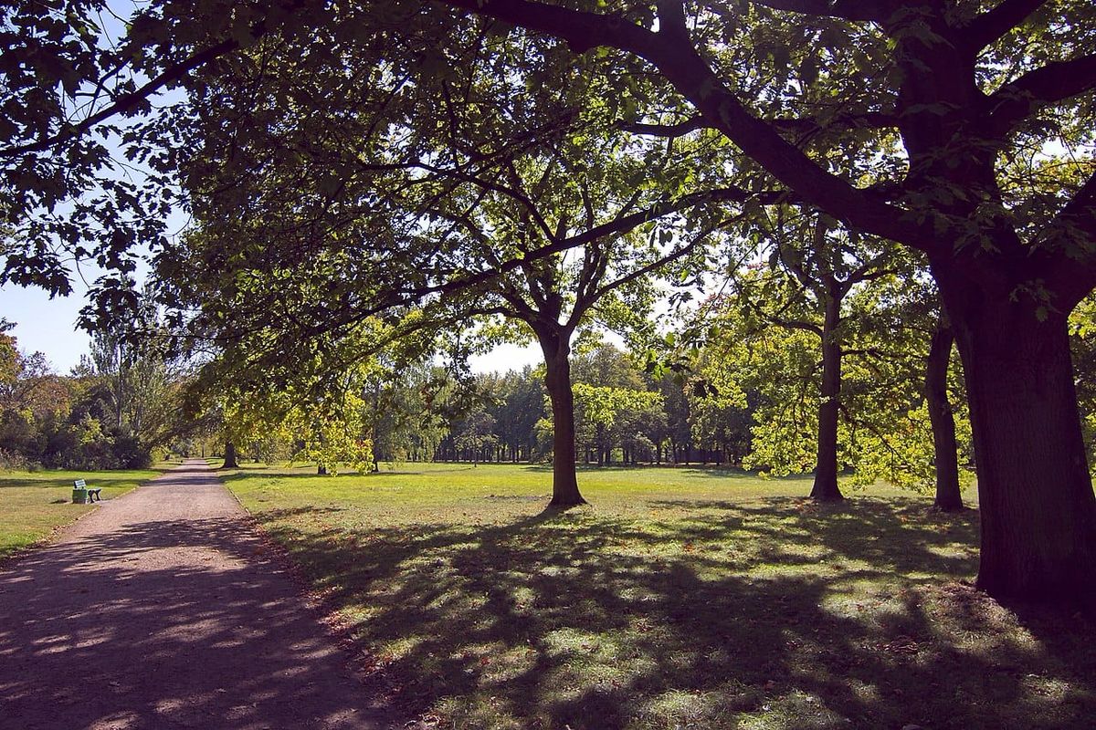 Weg im Georgengarten in Hannover