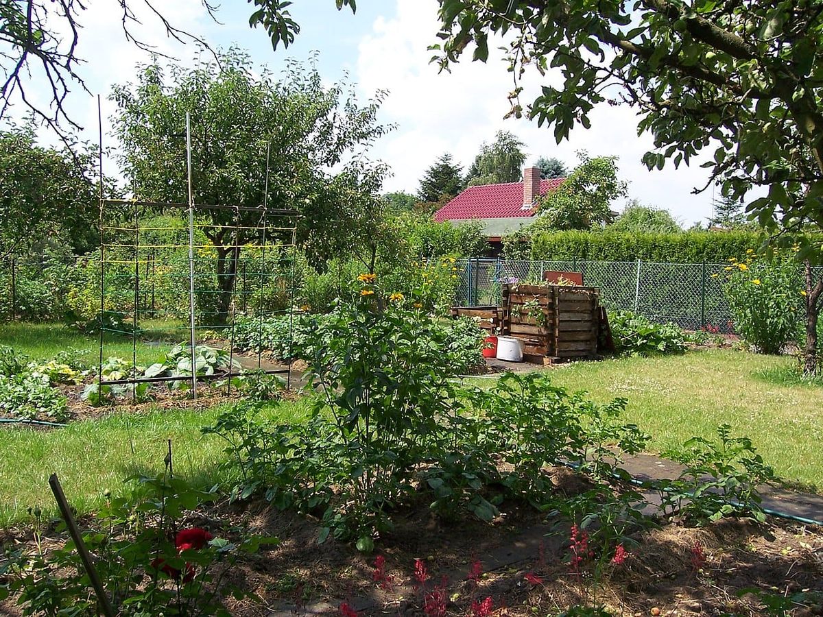 152 Kleingärten am Vinnhorster Weg sollen Bauland werden