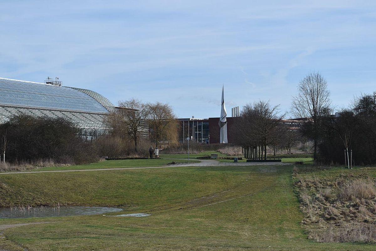 Bemerode: Drei Fahrgäste nach Gefahrenbremsung in Linienbus verletzt