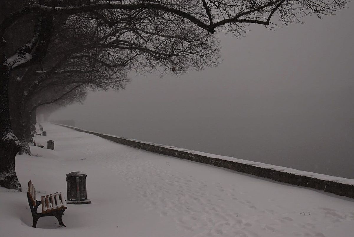 AfD-Fraktion will mehr Mülleimer am Maschsee