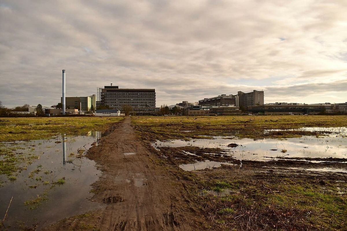 Anfrage zu Baumaßnahmen an der MHH: Wie steht es um Genehmigungen und Umweltfolgen?