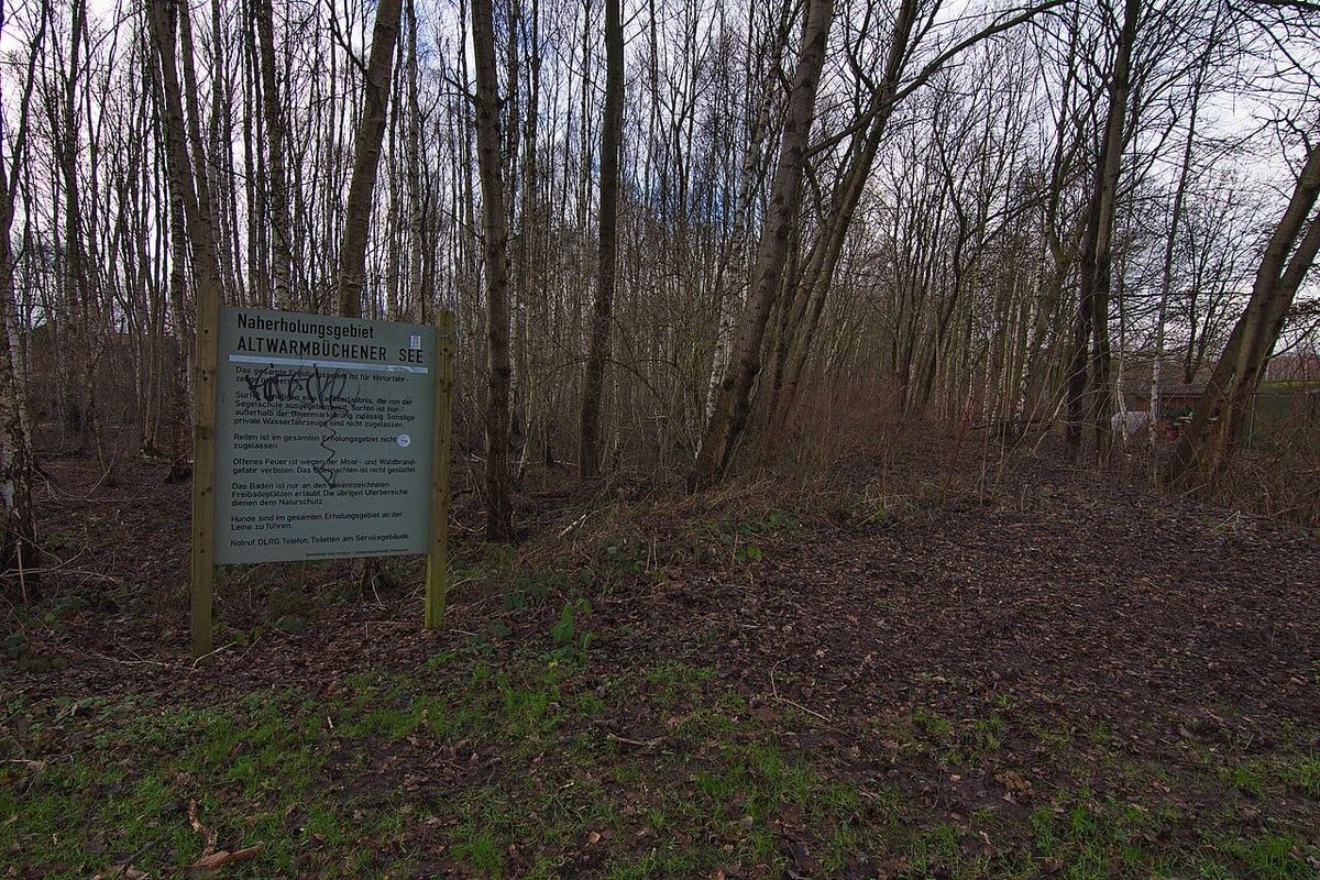 Eichenprozessionsspinner am Altwarmbüchener See — Stadt räumt Nester