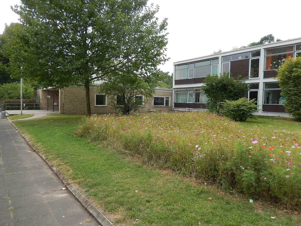 Wilhelm-Busch-Schule in Oberricklingen wird für 26 Millionen Euro saniert